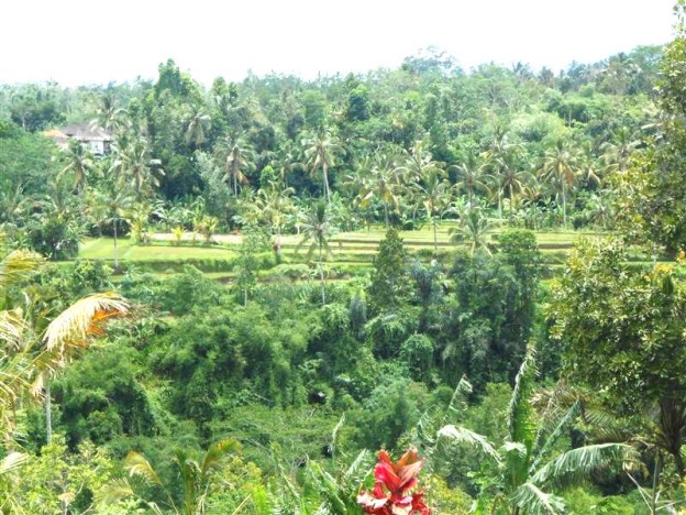 Jual tanah di Tabanan Bali