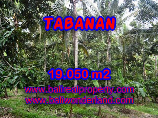 Murah ! Tanah di TABANAN Bali Dijual TJTB092