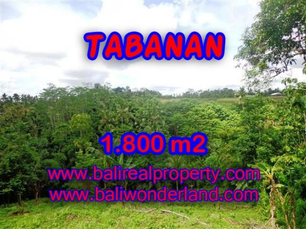 Peluang Investasi Properti di Bali - Jual Tanah murah di TABANAN TJTB088
