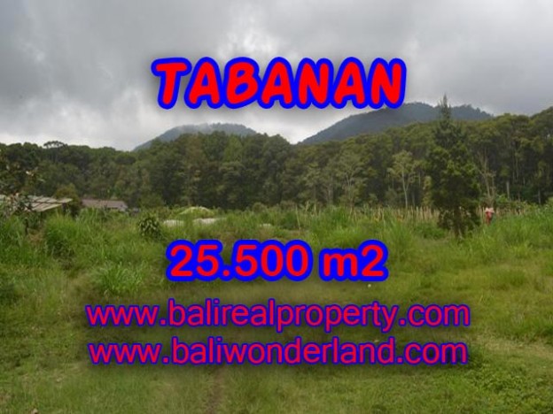 TANAH DIJUAL DI TABANAN MURAH TJTB085 - PELUANG INVESTASI PROPERTY DI BALI