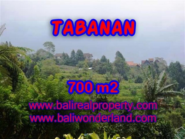 JUAL MURAH TANAH DI TABANAN BALI TJTB103 - PELUANG INVESTASI PROPERTY DI BALI