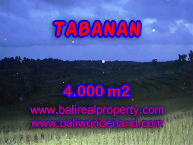 DIJUAL TANAH DI TABANAN BALI CUMA RP 360.000 / M2