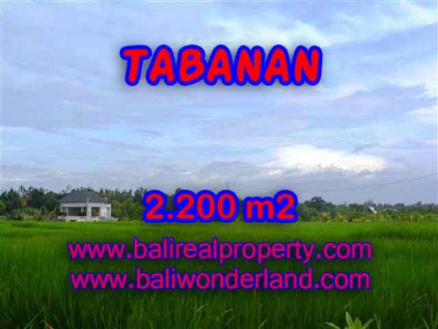 DIJUAL TANAH DI TABANAN BALI TJTB097 - INVESTASI PROPERTY DI BALI