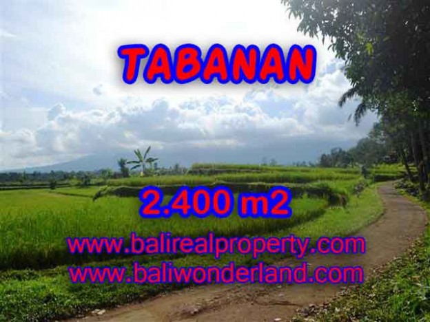 DIJUAL MURAH TANAH DI TABANAN BALI TJTB126 - PELUANG INVESTASI PROPERTY DI BALI