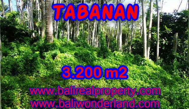 MURAH ! TANAH DIJUAL DI TABANAN BALI TJTB120 - INVESTASI PROPERTY DI BALI