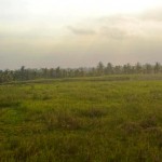 Jual Tanah Murah di Tabanan Bali TJTB1430108