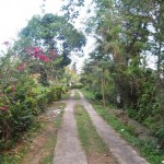 Jual Tanah Murah di Tabanan Bali TJTB1430111