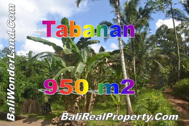 TJTB146 - 1 - TANAH DI TABANAN DIJUAL MURAH - LAND FOR SALE IN TABANAN BALI 1