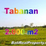 TJTB147 - 1 - TANAH DI TABANAN DIJUAL MURAH - LAND FOR SALE IN TABANAN BALI 01