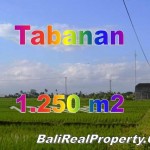 TJTB148 - 1 - TANAH DI TABANAN DIJUAL MURAH - LAND FOR SALE IN TABANAN BALI 01