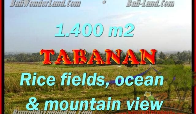 INVESTASI PROPERTI DI BALI - MURAH ! TANAH DIJUAL DI TABANAN TJTB143