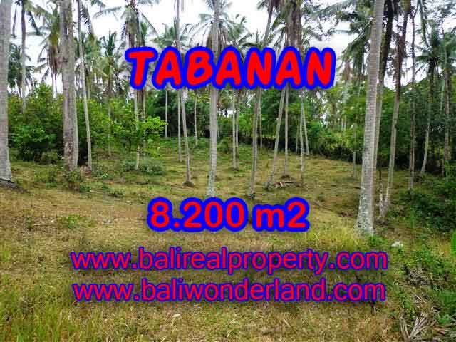 TANAH DI BALI DIJUAL, MURAH DI TABANAN TJTB142 - INVESTASI PROPERTY DI BALI