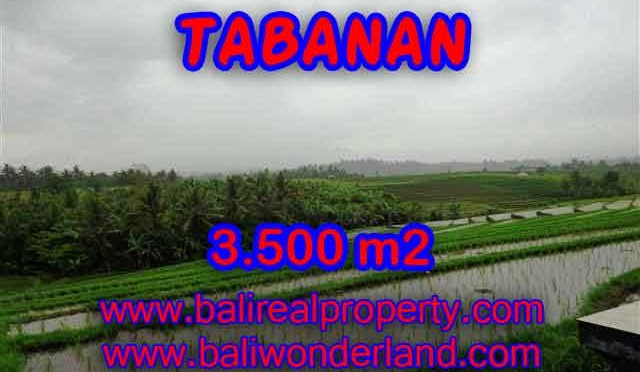 MURAH ! TANAH DI TABANAN BALI RP 520.000 / M2 - TJTB141 - INVESTASI PROPERTY DI BALI