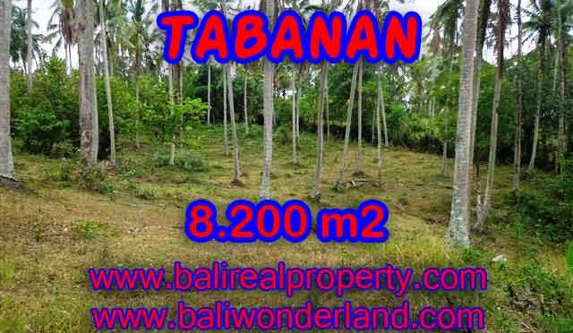 Peluang Investasi Properti di Bali - Jual Tanah murah di TABANAN TJTB142