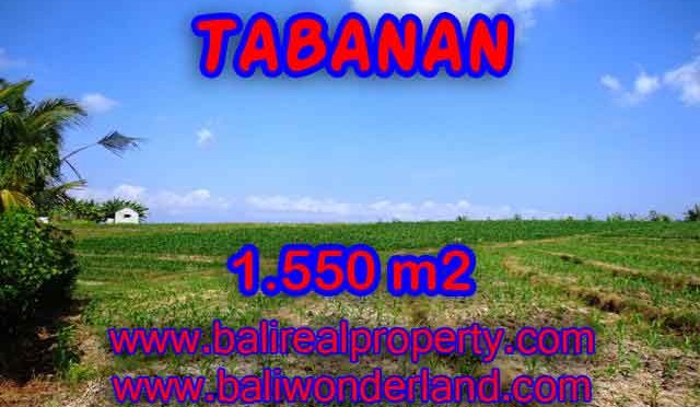 TANAH DIJUAL DI TABANAN RP 500.000 / M2 - TJTB134