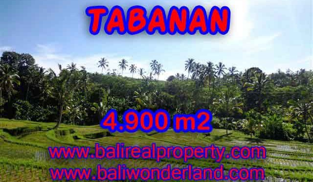 MURAH ! TANAH DI TABANAN BALI RP 420.000 / M2 - TJTB111 - INVESTASI PROPERTY DI BALI
