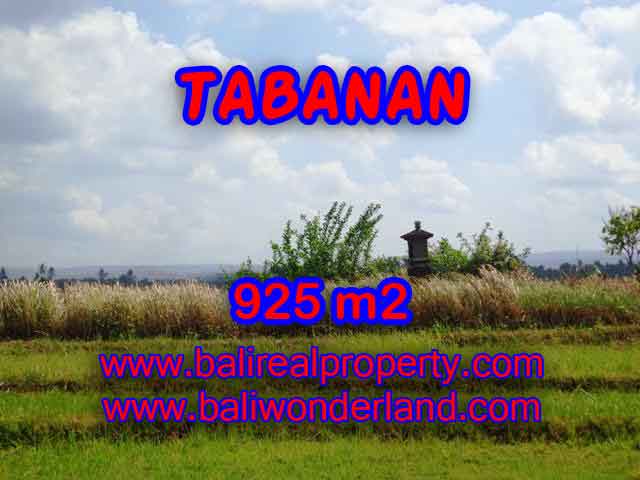 TANAH DIJUAL DI TABANAN BALI MURAH TJTB135 - PELUANG INVESTASI PROPERTY DI BALI