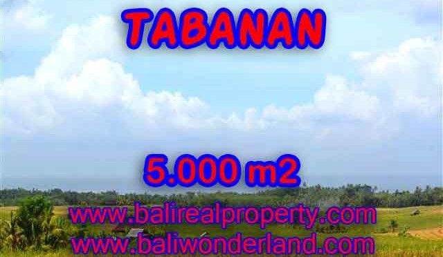 TANAH DI TABANAN MURAH TJTB124 - INVESTASI PROPERTY DI BALI
