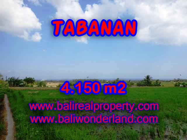 TANAH DIJUAL DI TABANAN BALI TJTB137 - PELUANG INVESTASI PROPERTY DI BALI