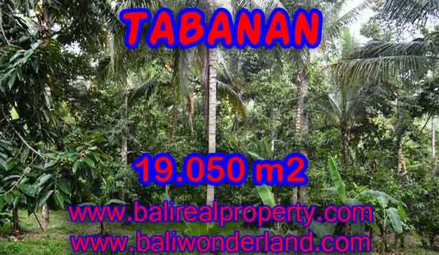 TANAH DI BALI, MURAH DI TABANAN DIJUAL TJTB092 - INVESTASI PROPERTY DI BALI