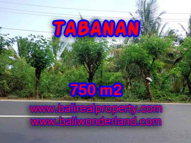 Murah ! Tanah di TABANAN Bali Dijual Rp 1.450.000 / m2 - TJTB138