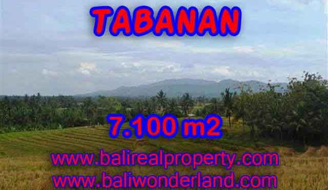 Jual Tanah murah di TABANAN TJTB125 - Kesempatan investasi property di Bali