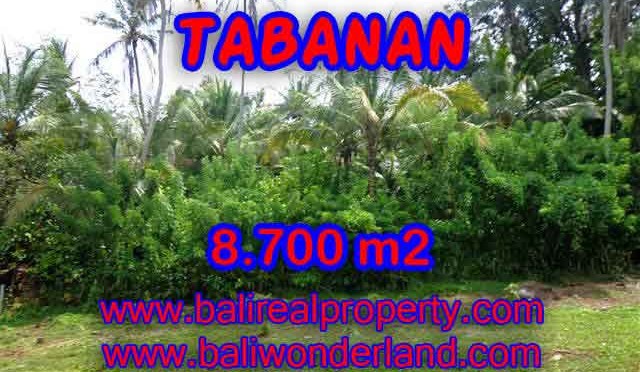 Tanah di TABANAN Bali Dijual murah TJTB115 - investasi property di Bali