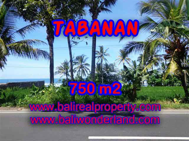 Kesempatan Investasi Properti di Bali - Jual Tanah murah di TABANAN TJTB105