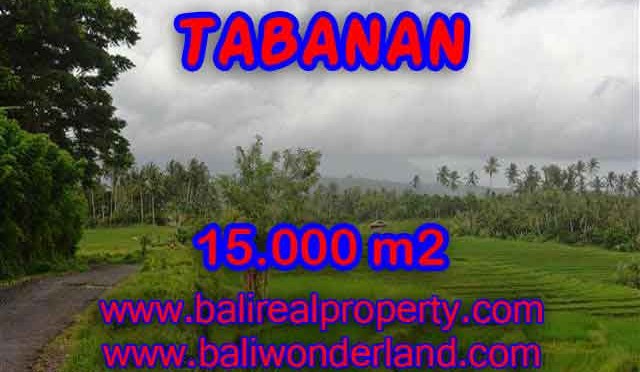 TANAH DI TABANAN MURAH TJTB094 - INVESTASI PROPERTY DI BALI