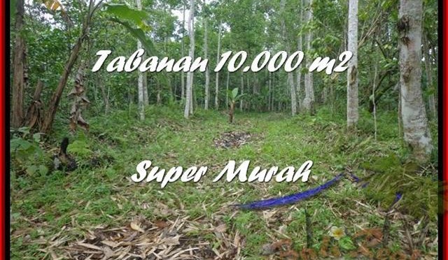 TANAH di TABANAN BALI DIJUAL Untuk INVESTASI TJTB177