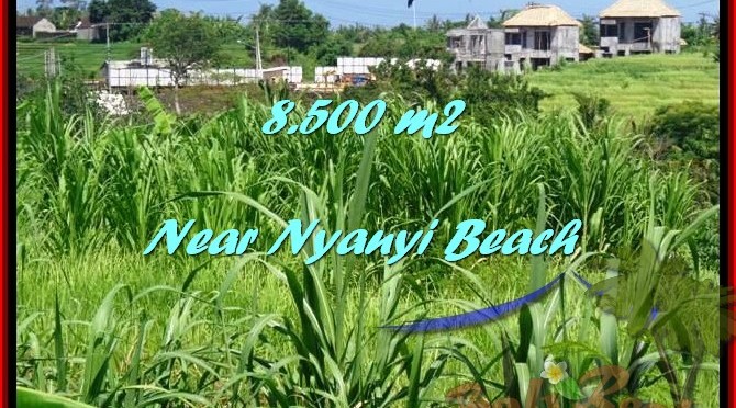 TANAH di TABANAN DIJUAL 8,500 m2 di Tabanan Tanah Lot
