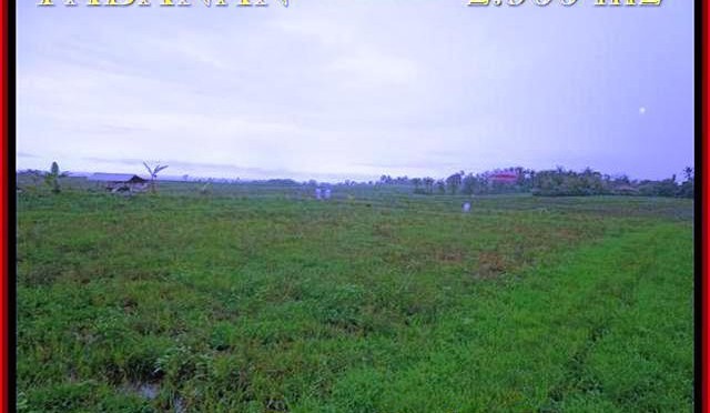 JUAL MURAH TANAH di TABANAN Untuk INVESTASI TJTB184