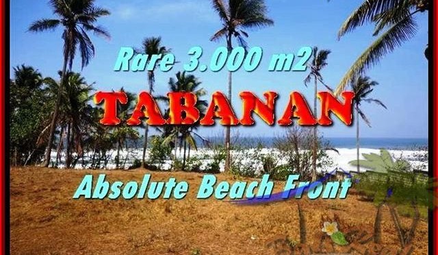 TANAH di TABANAN DIJUAL 3.000 m2 di Tabanan Selemadeg
