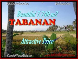 INVESTASI PROPERTY, TANAH MURAH di TABANAN BALI TJTB173