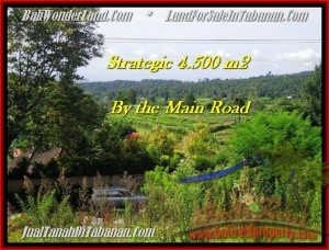 TANAH di TABANAN BALI DIJUAL MURAH 4,500 m2  view Gunung, sawah, hutan dan kota denpasar