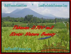 TANAH di TABANAN BALI DIJUAL MURAH 27 Are Sawah, Gunung, Sungai dan Kota Denpasar