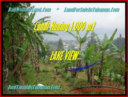JUAL TANAH di TABANAN BALI 1.000 m2 View Danau Beratan dan Gunung