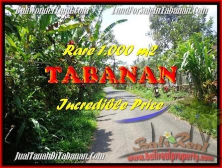 TANAH MURAH di TABANAN BALI 1.000 m2 di Tabanan Pupuan