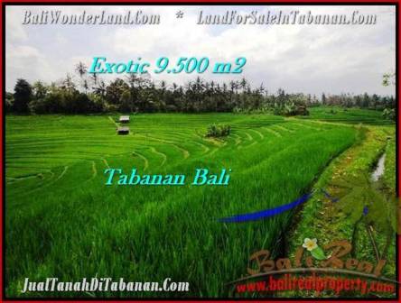 TANAH MURAH di TABANAN BALI 9,500 m2 View Gunung dan sawah