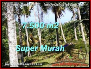JUAL MURAH TANAH di TABANAN 7,500 m2 di Tabanan Selemadeg