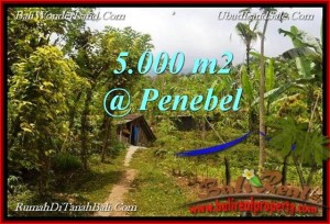 TANAH di TABANAN DIJUAL 5,000 m2 di Tabanan Jatiluwih