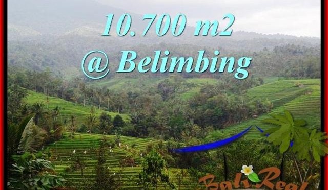 TANAH di TABANAN BALI DIJUAL MURAH 107 Are View Gunung, sawah