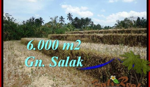 JUAL TANAH di TABANAN BALI 6,000 m2 View Gunung, sawah