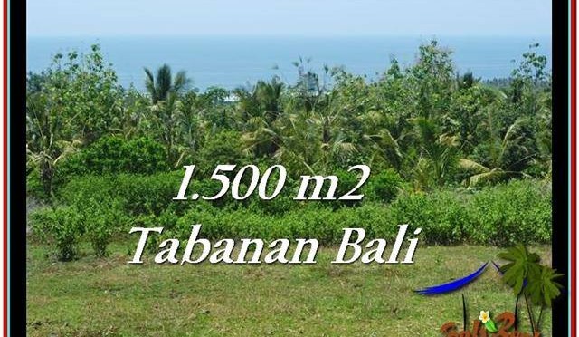 INVESTASI PROPERTY, JUAL TANAH MURAH di TABANAN BALI TJTB234