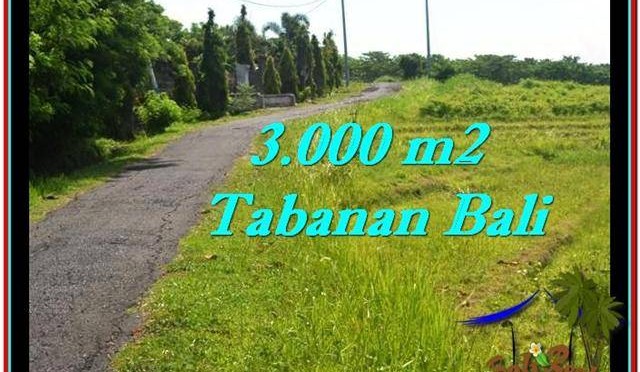 TANAH di TABANAN DIJUAL 3,000 m2 di Tabanan Selemadeg