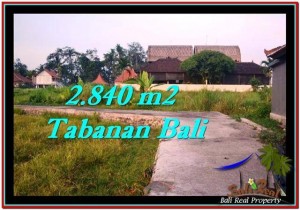 JUAL TANAH MURAH di TABANAN BALI 2,840 m2  View sawah
