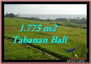 TANAH di TABANAN BALI DIJUAL MURAH 17.75 Are View sawah, laut dan gunung