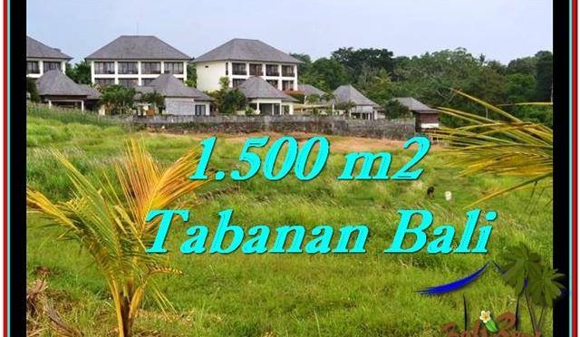 JUAL TANAH di TABANAN 15 Are View sawah, laut dan gunung