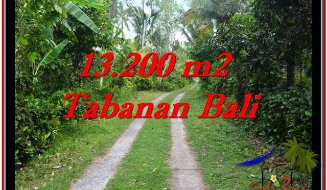 TANAH DIJUAL MURAH di TABANAN BALI TJTB255