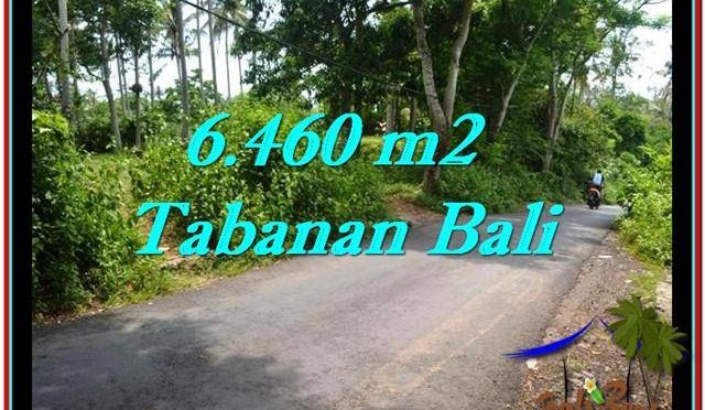 TANAH di TABANAN DIJUAL 6,460 m2 di Tabanan Selemadeg